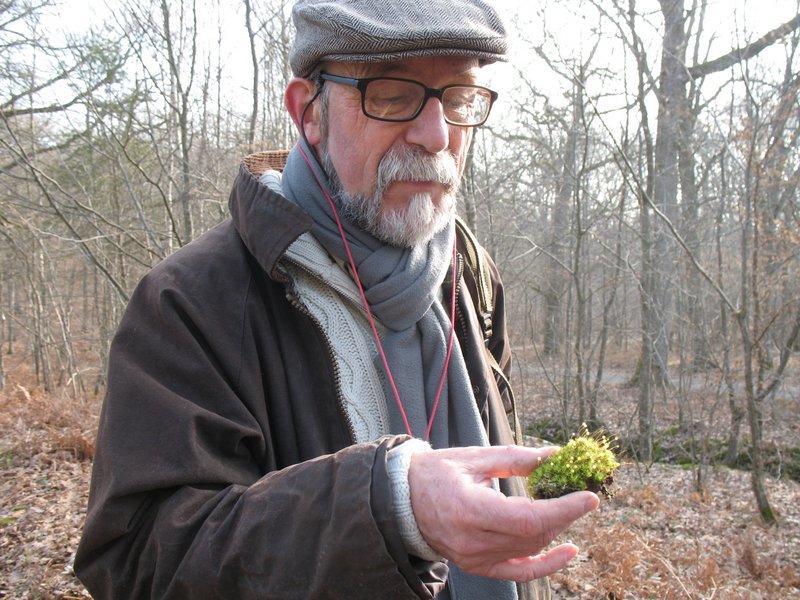 Lichens forestiers 3.3.2013 066